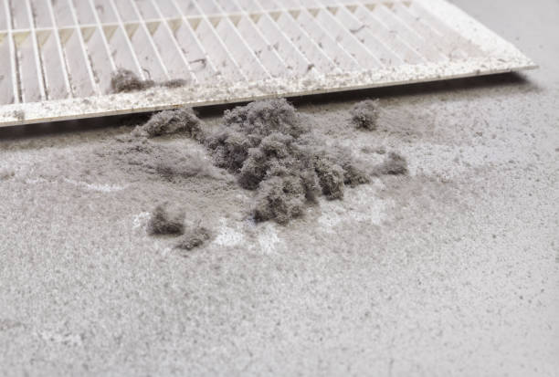 Best Ventilation Cleaning Services  in Hialeah Gardens, FL