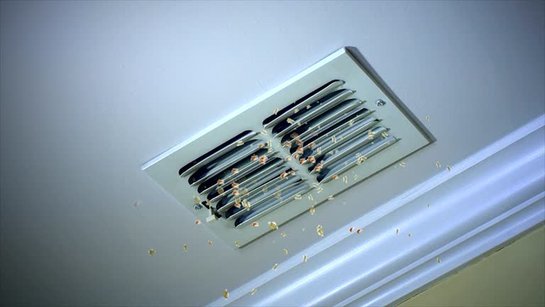 Best Best Air Duct Cleaning Near Me  in Hialeah Gardens, FL