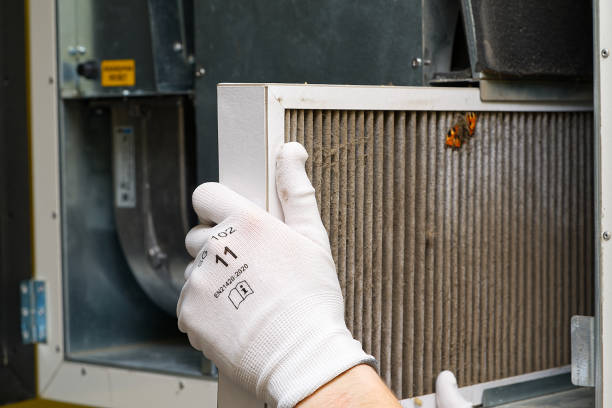 Best Air Duct Mold Removal  in Hialeah Gardens, FL
